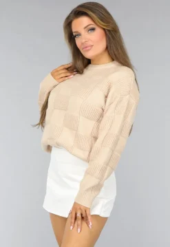 Beige Geblokte Trui