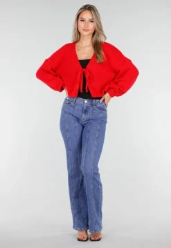 Blauwe Stretch Jeans met Rechte Pijpen en Verticale Stiknaden