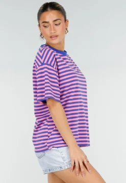 Blauw Roze Gestreept T-shirt met Korte Mouwen en Ronde Hals