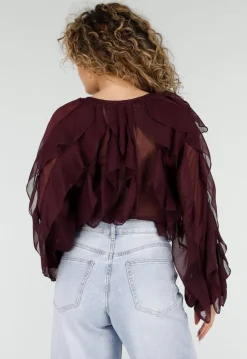 Bordeaux Chiffon Blouse met Ruffles en Lange Mouwen