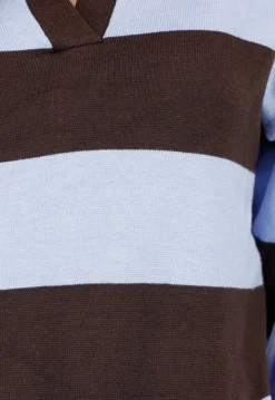 Bruin en Lichtblauw Gestreepte Polo Trui met V Hals