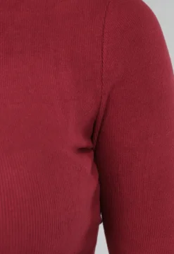 Burgundy Truitje met High Neck