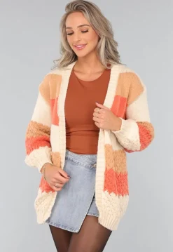 Gebreide Multicolor Cardigan