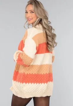 Gebreide Multicolor Cardigan