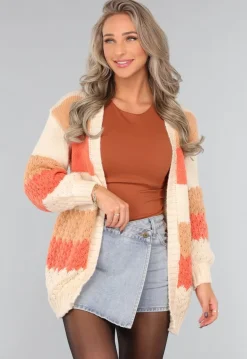 Gebreide Multicolor Cardigan