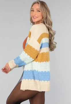 Gebreid Multicolor Cardigan Vest