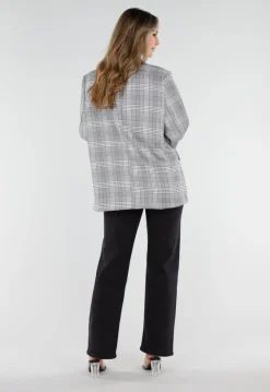 Grijze Geruite Blazer met Lange Mouwen en Knopen