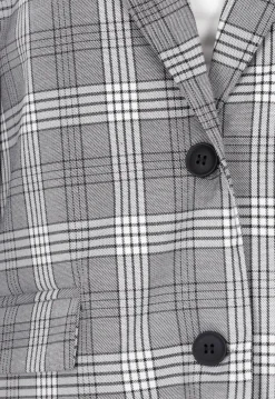 Grijze Geruite Blazer met Lange Mouwen en Knopen