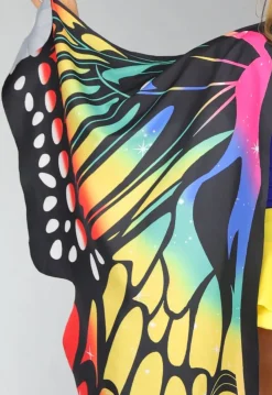 Multicolor Vlinder Kostuum Accessoires