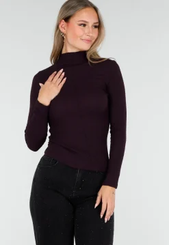 Paarse Coltop met Lange Mouwen en Stretch