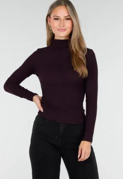 Paarse Coltop met Lange Mouwen en Stretch