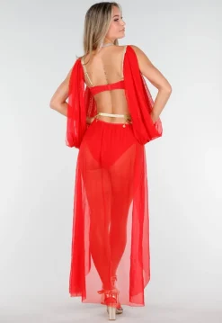Rood Buikdanseres Kostuum met Gouden Accenten en Doorzichtige Rok