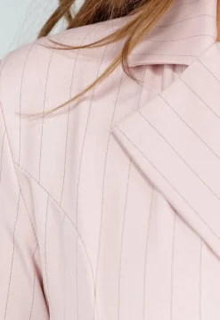 Roze Pinstripe Blazerjurk met Lange Mouwen, Kraag en Knoopsluiting