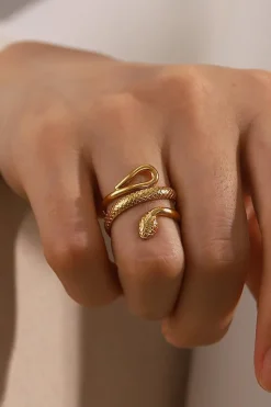 Stainless Steel Ring met Slangen Model